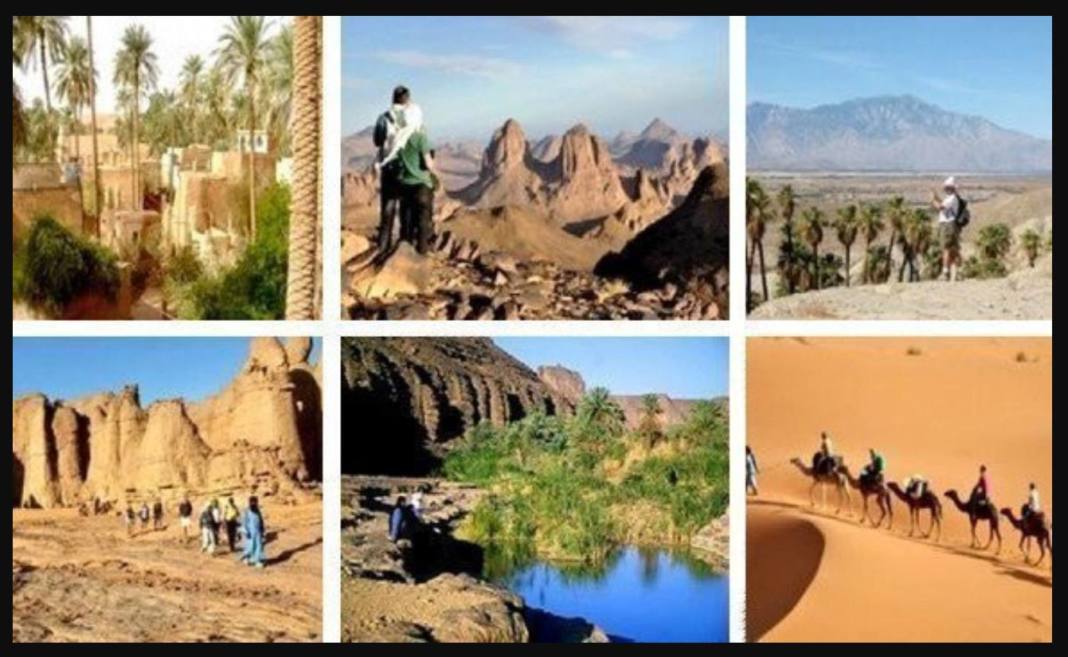 Tourisme au Sahara algérien : riches programmes de printemps