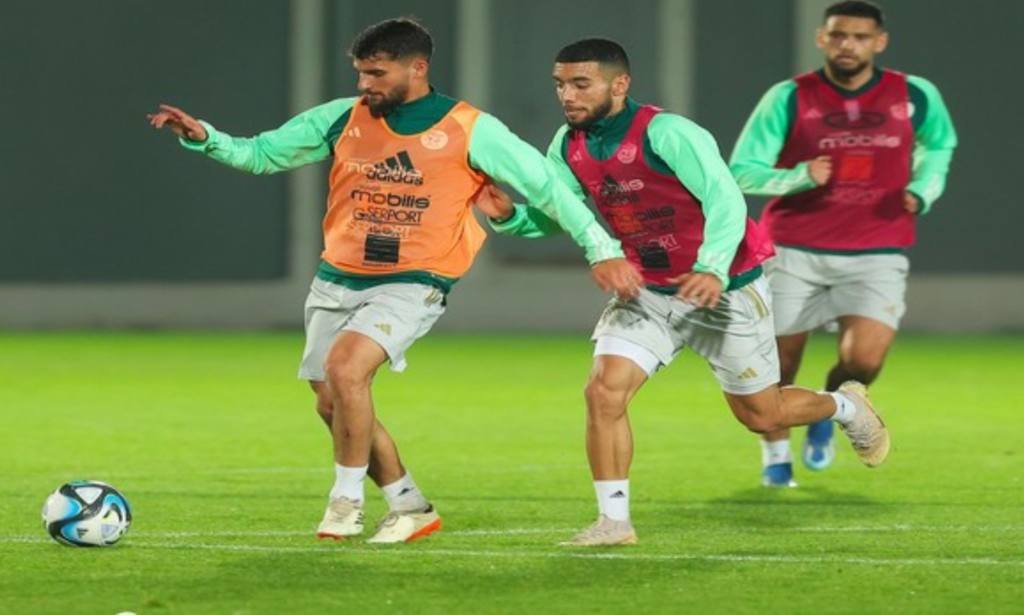 Algérie - Afrique du Sud : les Verts de Petkovic vont-ils confirmer ?