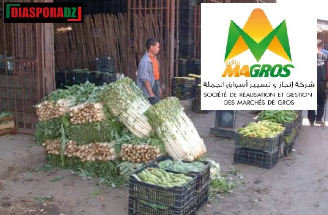 Le PDG de Magros et des cadres limogés : une enquête est ouverte