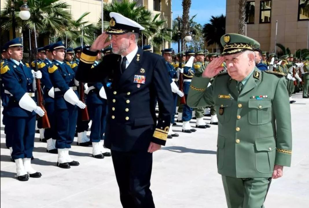 Otan Saïd Chanegriha ANP : le Général Saïd Chanegriha reçoit le président du Comité militaire de l'OTAN