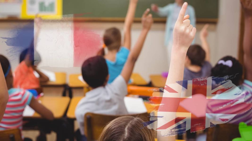 Remplacer le français par l’anglais est un acte irréfléchi et irresponsable