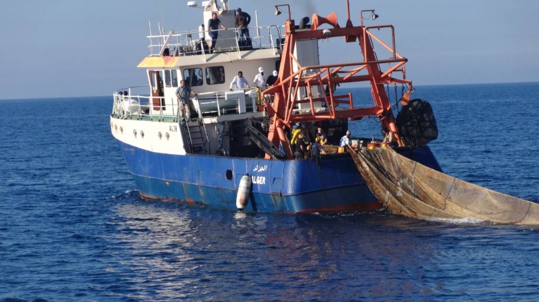 Pêche : l’autorisation d'importer des moteurs de navires d'occasion bientôt en vigueur
