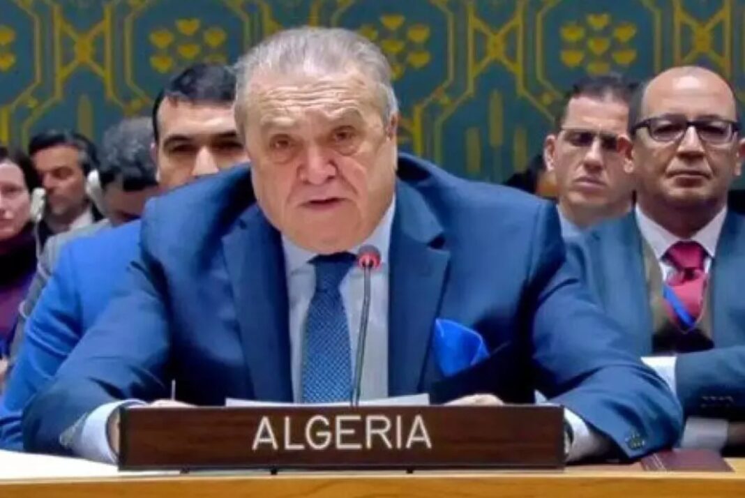 Charniers de Gaza : le Conseil de sécurité de l’ONU appelle à « des enquêtes immédiates et indépendantes »