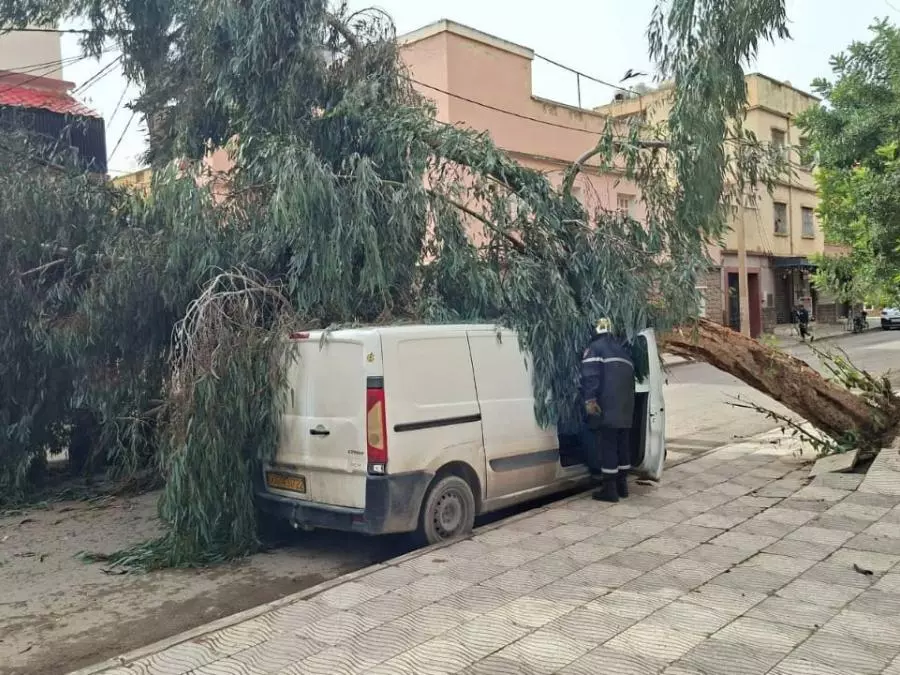 vents violents dégâts victime vents violents dégâts victime