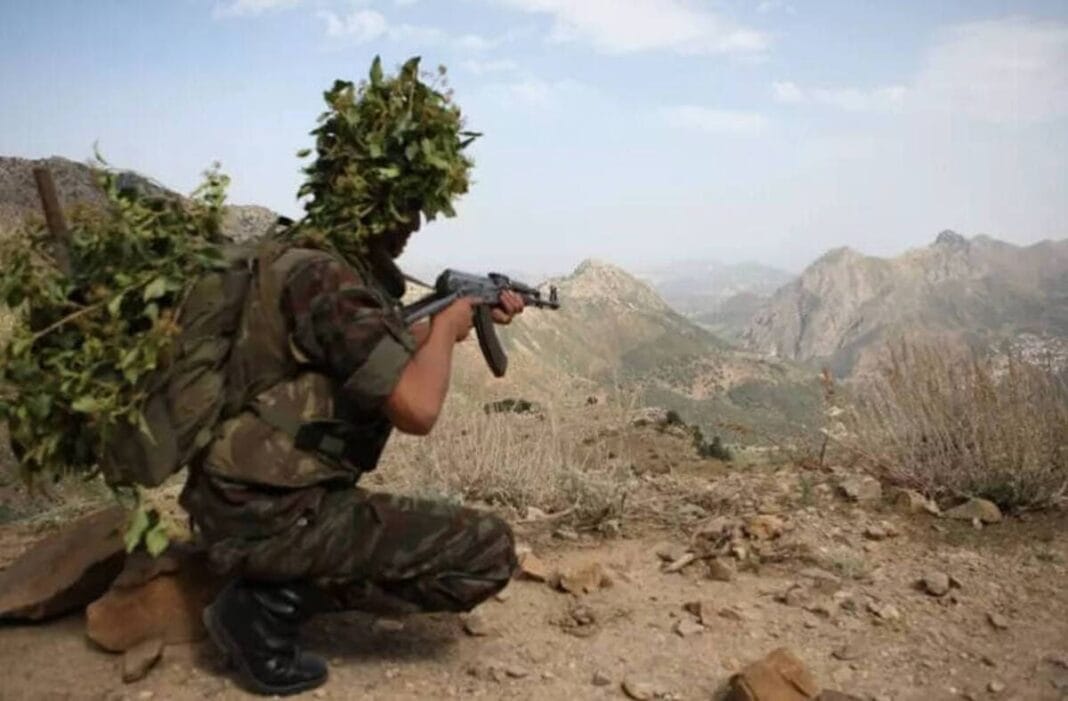terroristes Tébessa MDN