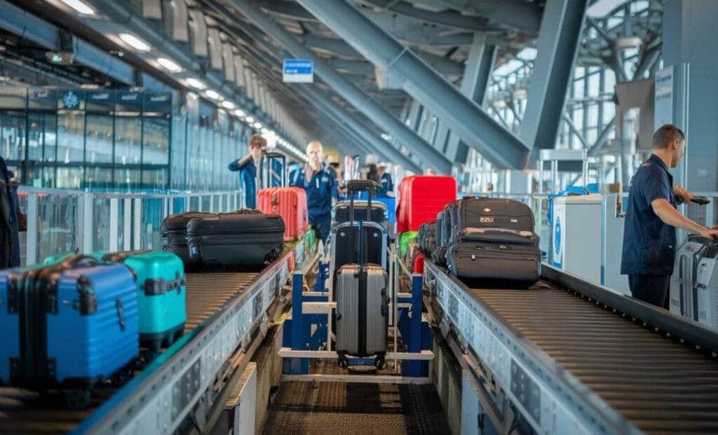 aéroport d'alger recrutement