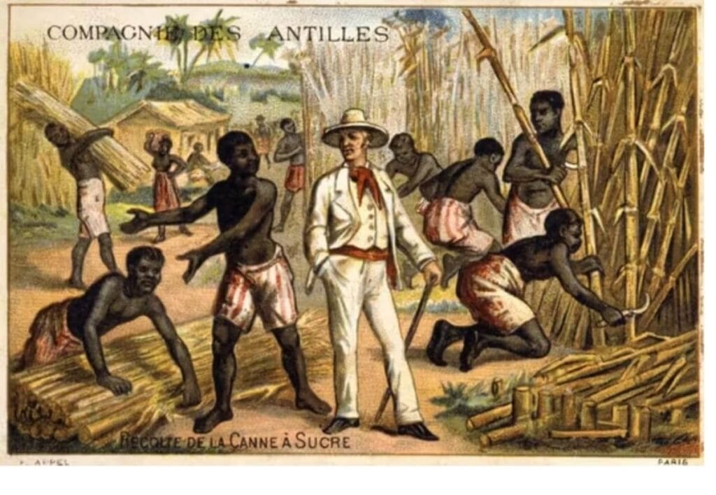 traite esclaves africains plus grave crime contre l'humanité