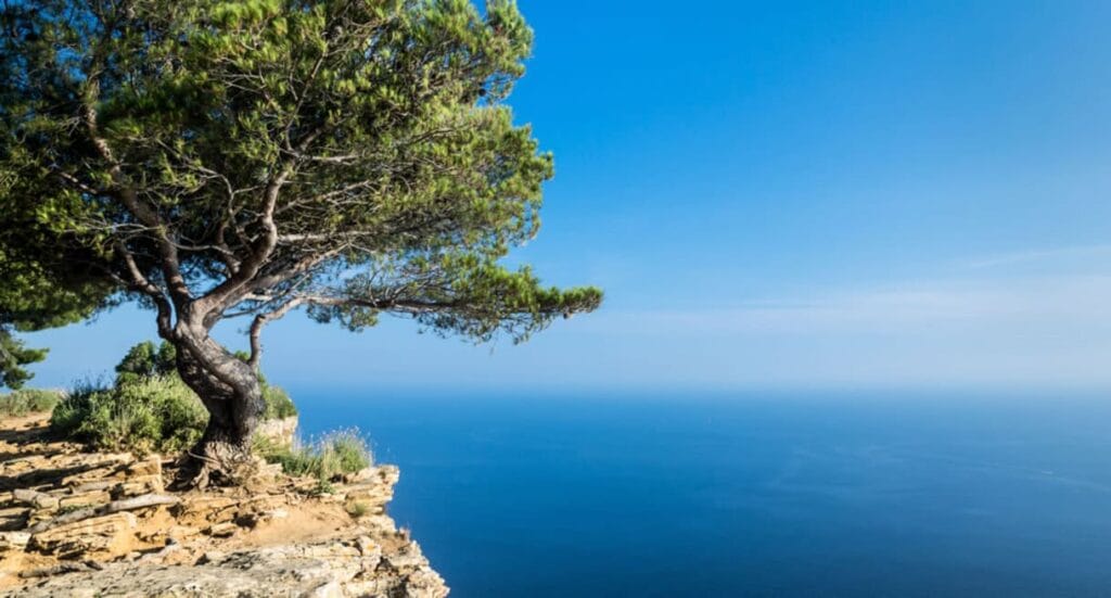 Écrire depuis la Méditerranée