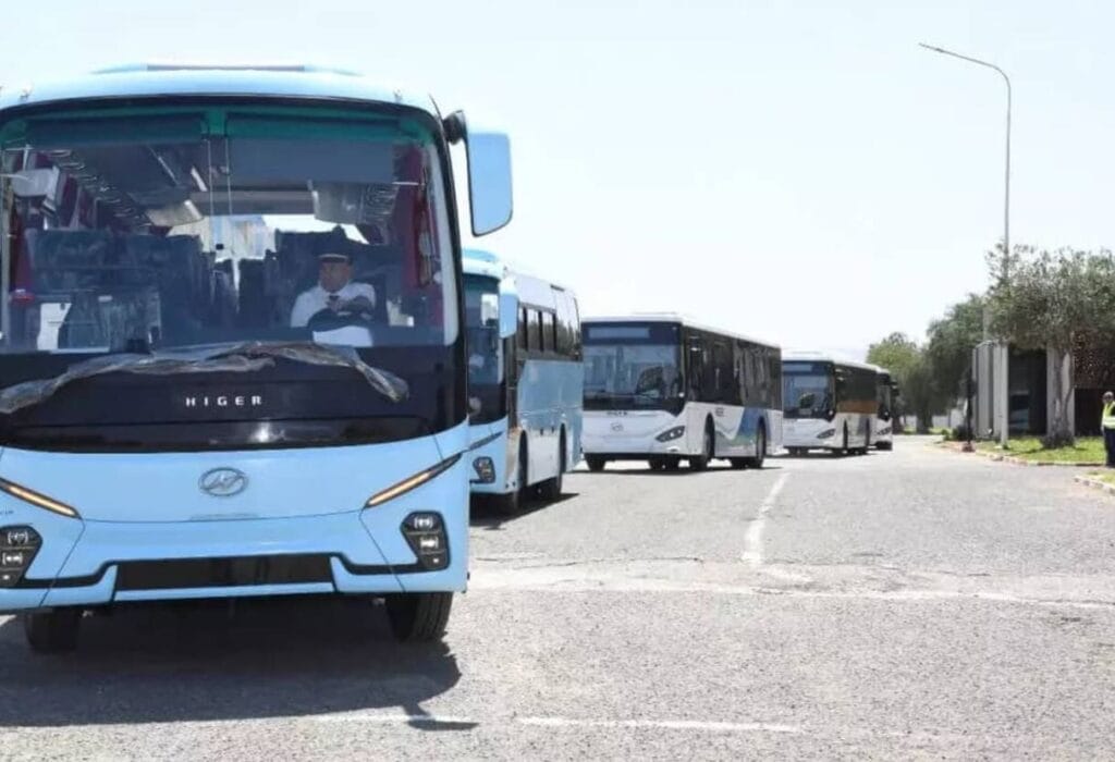 livraison de bus importés Alger Oran
