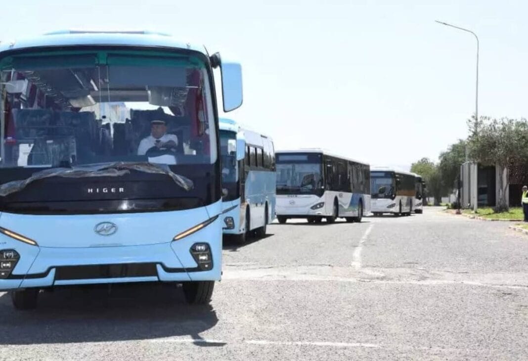 livraison de bus importés Alger Oran